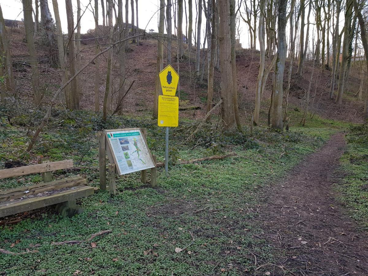 Ferienwohnung Haffblick Westerholz Kültér fotó